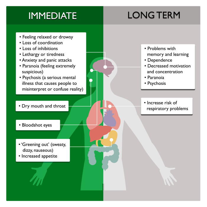 Cannabis Factsheet