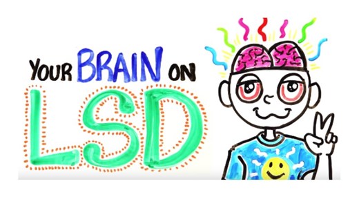 your brain on LSD
