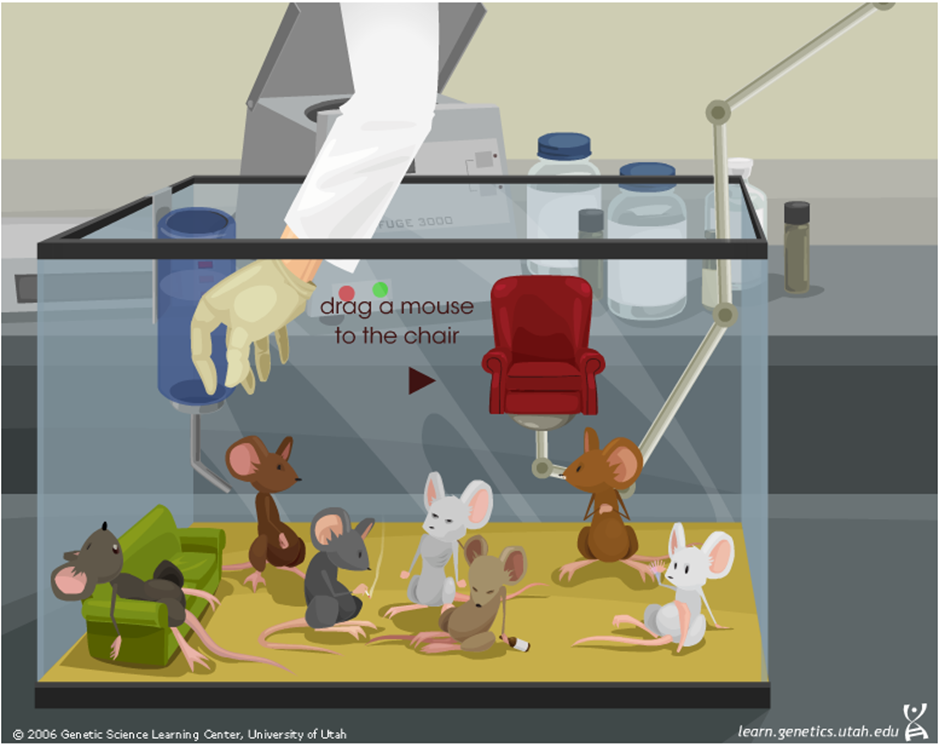 Mouse Party: Educational Game 